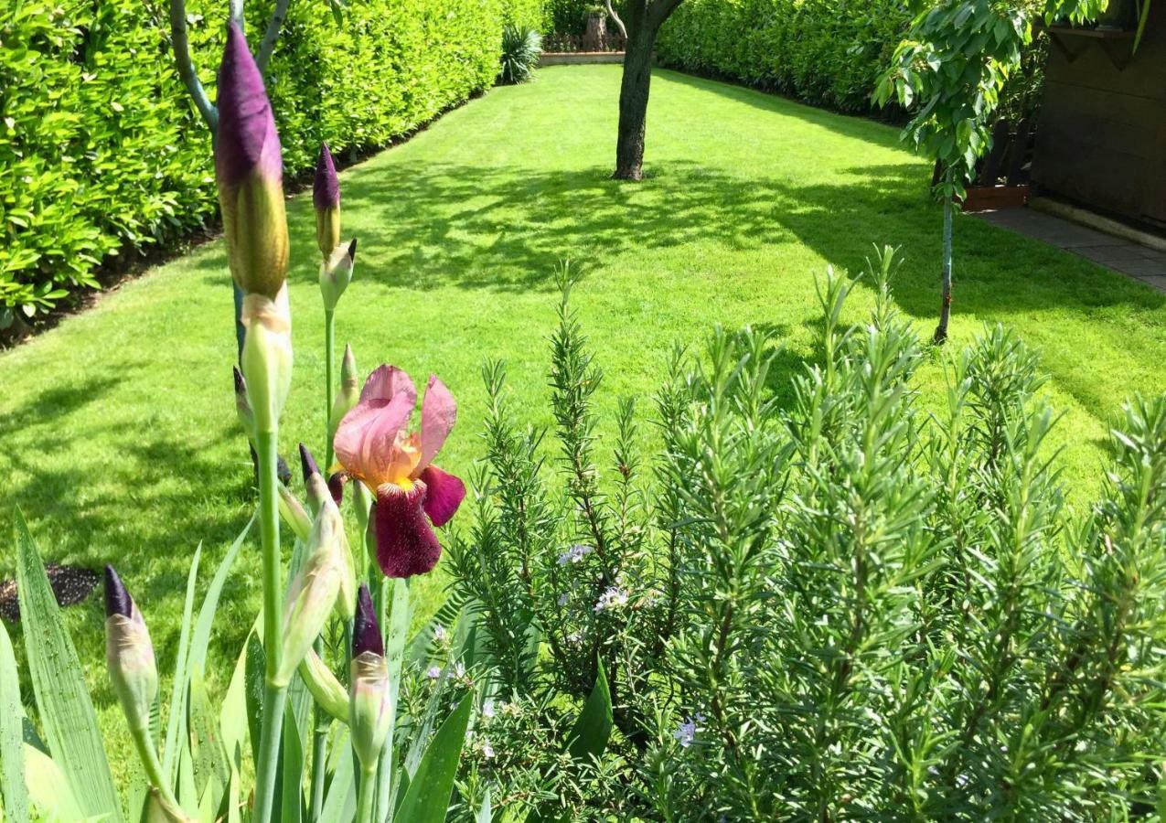 Villa "Corte De' Baldi" Ortignano Raggiolo Eksteriør billede